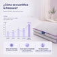 infografia-manta-frio.webp